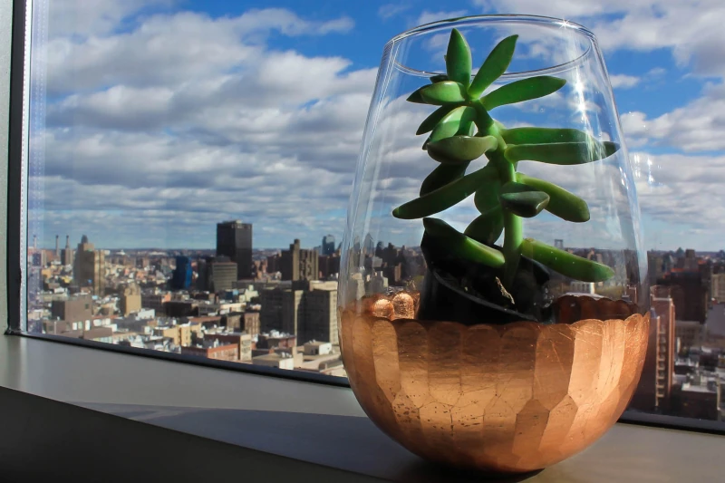 Ejemplo de reutilización de envase de vidrio como maceta